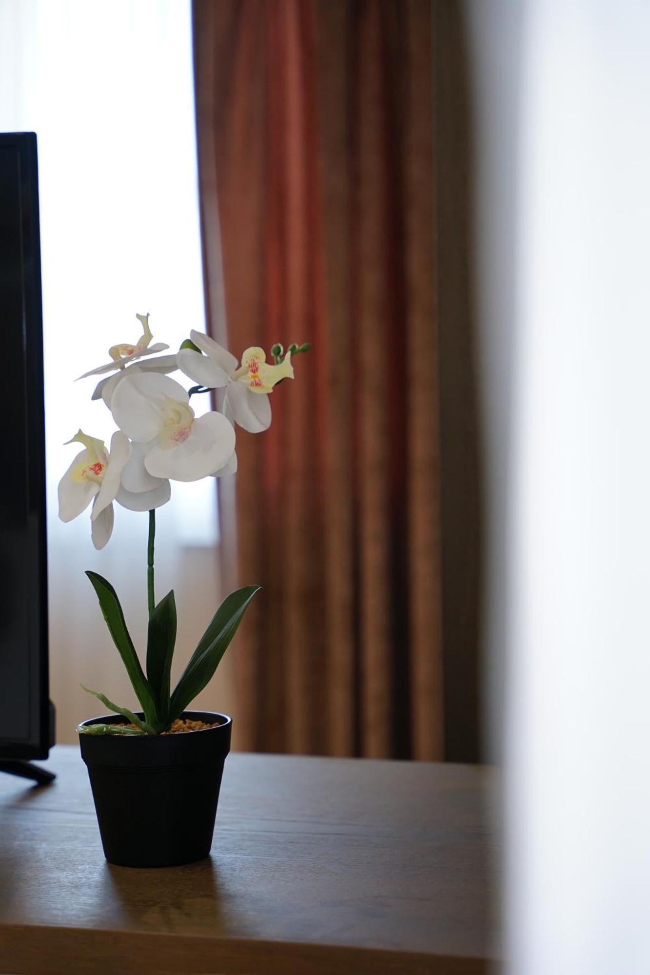 Doanesia Premium Hotel & Spa ติรานา ภายนอก รูปภาพ